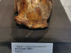 -北京周口店北京人遗址博物馆