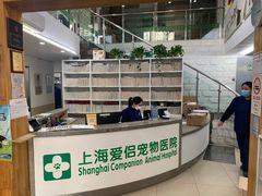 -爱侣宠医·鹦鹉专科·小型哺乳类·异宠专科(灵石路店)