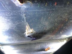 -三亚千古情景区游客中心-接待中心