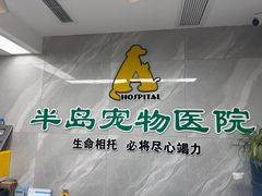 -半岛宠物医院24小时(白果林店)