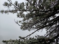 -庐山风景区花径公园