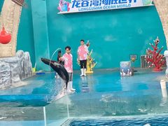 -龙谷湾旅游休闲度假区