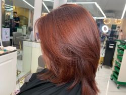 -潘多拉Hairsalon