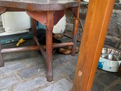 -喵屿·大理花园猫咖