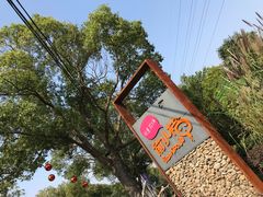 -前小桔亲子创意农场·草莓采摘·露营烧烤
