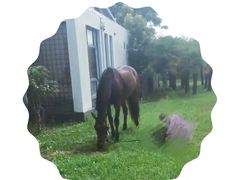 -松声马术俱乐部