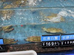 -宁海食府(北岸琴森店)