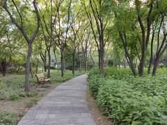 -森林公园(尖草坪区)