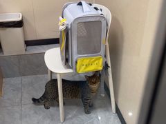 -安安宠医·臻爱宠物医院·宠保定点(营门口路分院)