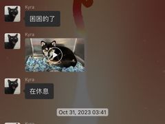 -泰洋动物医院·神经专科·磁共振·CT(天河公园总院)