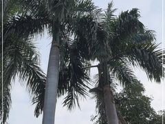 -广州市白云山风景名胜区