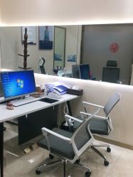 -碧莲盛·不剃发植发