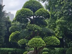 -龙头寺公园