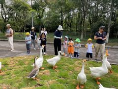 -惠洛克国际儿童之家(绿博园中心)
