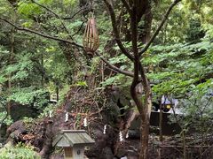 -来宫神社
