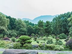 -四明山国家森林公园