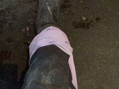 -采薇庄园四季滑雪场