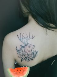 动物-怪咖纹身刺青