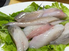 -金砂阿洲鱼册店