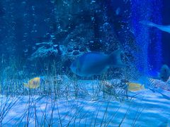 -沈阳海洋探索中心