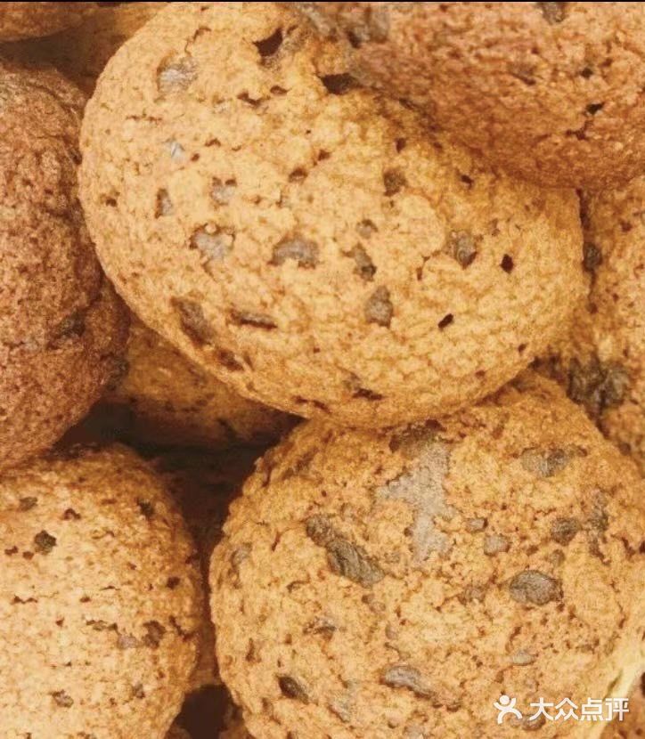 苏州探店|西树泡芙