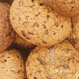 苏州探店|西树泡芙