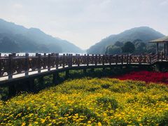 -广州市石门国家森林公园