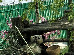 -西霞口神雕山野生动物世界