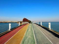 -贡湖湾湿地公园