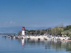 -西昌邛海湿地