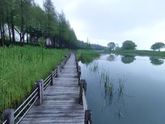 -苏州太湖湖滨国家湿地公园