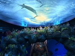 -陕西自然博物馆