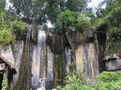-西双版纳原始森林公园
