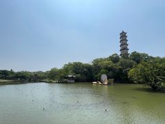 -江心屿景区