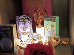 -雪灵魔法世界SHELLY’S TAROT(大良桂畔里店)