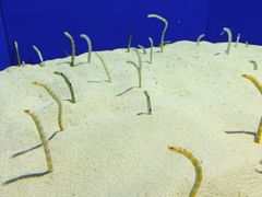 -上海海洋水族馆