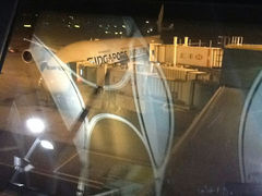 android_upload_pic-新加坡航空公司(ION)