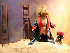 -济州岛泰迪熊博物馆