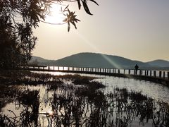 -长广溪湿地公园