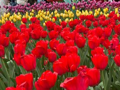 -昆明中心皇冠假日酒店