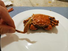 -西安高新希尔顿酒店·咖啡露台西餐厅