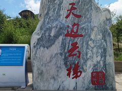 -黄河九曲第一湾