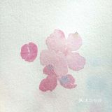 你的桃花来了吗[亲亲]