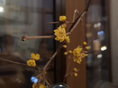 -煮雨小筑(斜塘老街店)