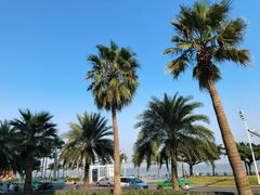 -星巴克(珠海仁恒滨海中心店)
