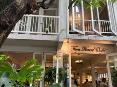 -Fern Forest Cafe