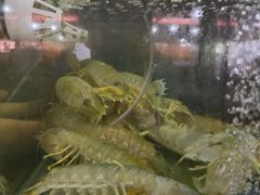 -岛中岛·海鲜大排档·万宁老字号(东澳店)