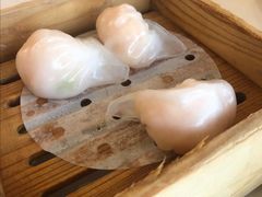 -黄埔华苑酒家(黄埔店)