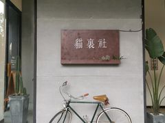 -猫里有甜