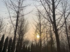 -汉景帝阳陵博物院